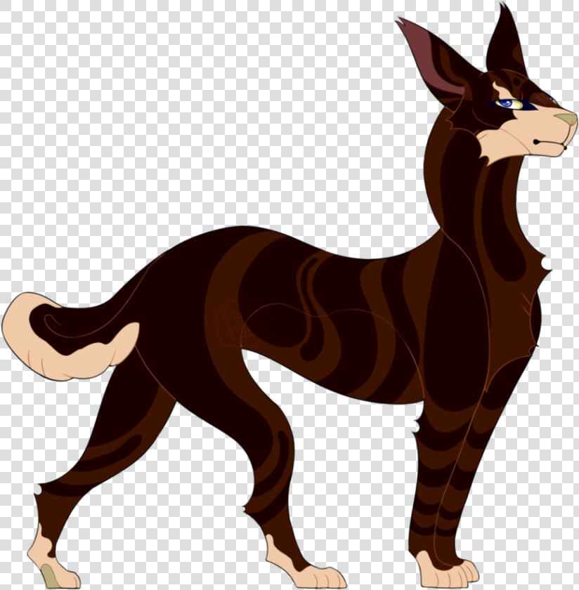 Shrug Emoji Png   Roe Deer  Transparent PngTransparent PNG