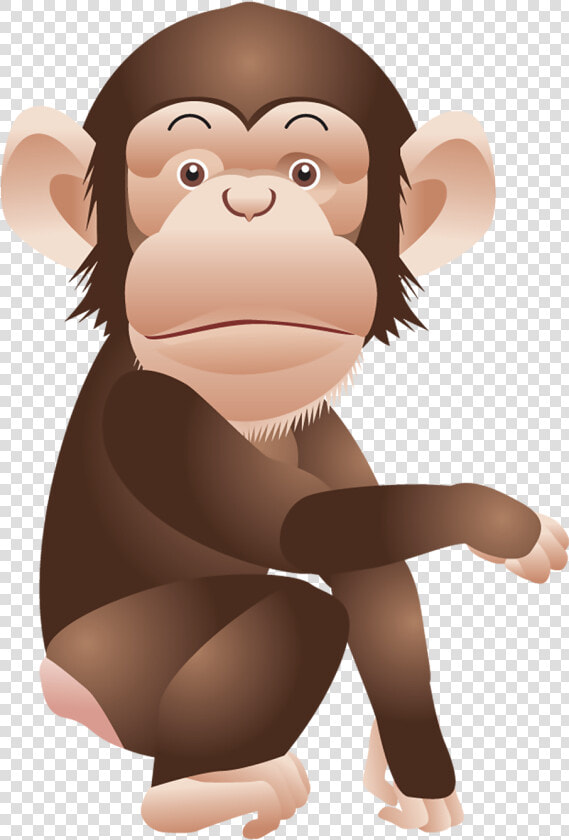 Monkey Png   Monkey Clipart Transparent Background  Png DownloadTransparent PNG