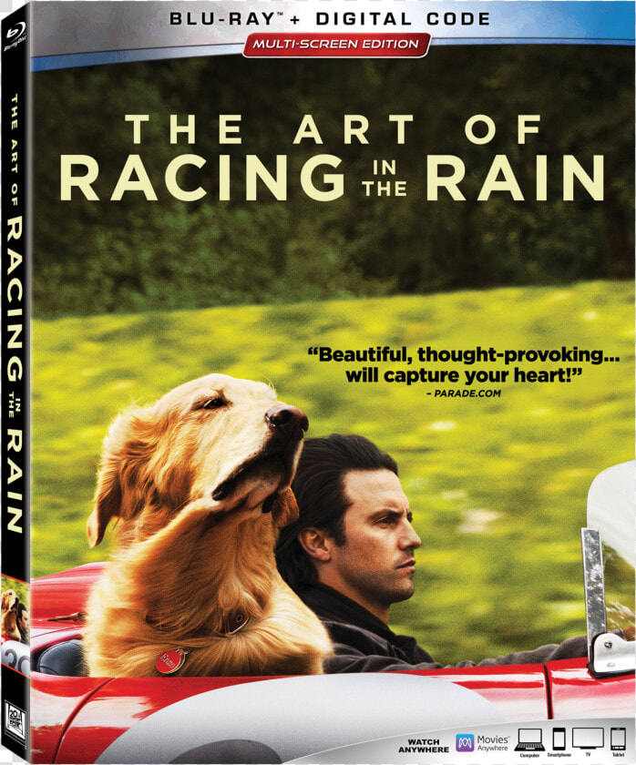 Art Of Racing In The Rain Bluray  HD Png DownloadTransparent PNG