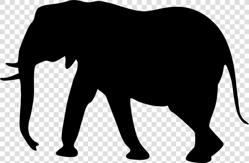 Elephant Silhouette Clipart At Getdrawings   Elephant Silhouette Png  Transparent PngTransparent PNG