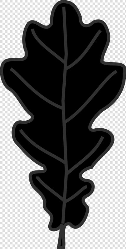 Leaf Clipart Oak Tree   Dessin Feuille De Chene Noir  HD Png DownloadTransparent PNG