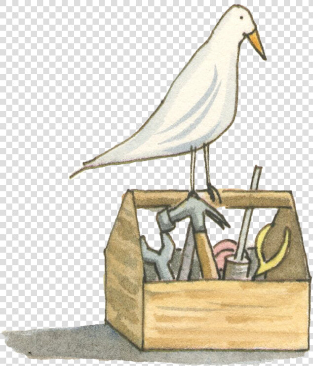 Tools Web   European Herring Gull  HD Png DownloadTransparent PNG