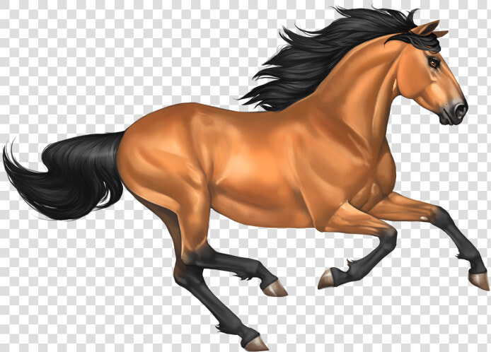 Transparent Horse Png   Horse Mustang Png  Png DownloadTransparent PNG