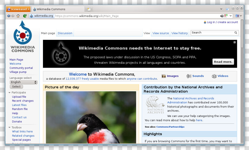 File   Commons   Wikimedia   Org   Wikimedia Commons  HD Png DownloadTransparent PNG