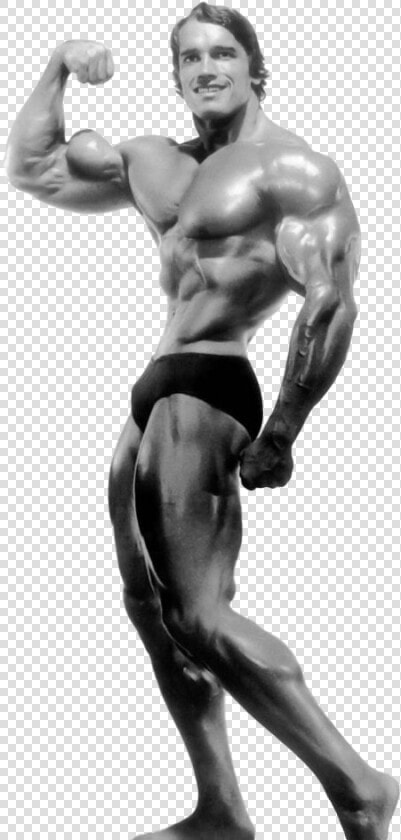 Arnold Schwarzenegger Bodybuilding Transparent   Arnold Schwarzenegger Bodybuilding Png  Png DownloadTransparent PNG