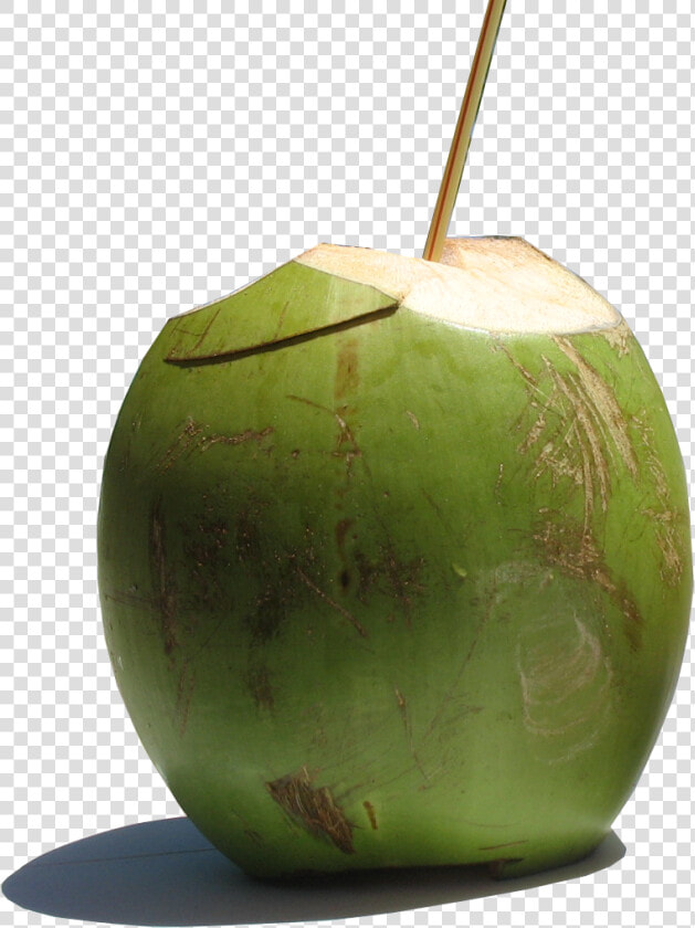 Imagens De Coco Verde  HD Png DownloadTransparent PNG