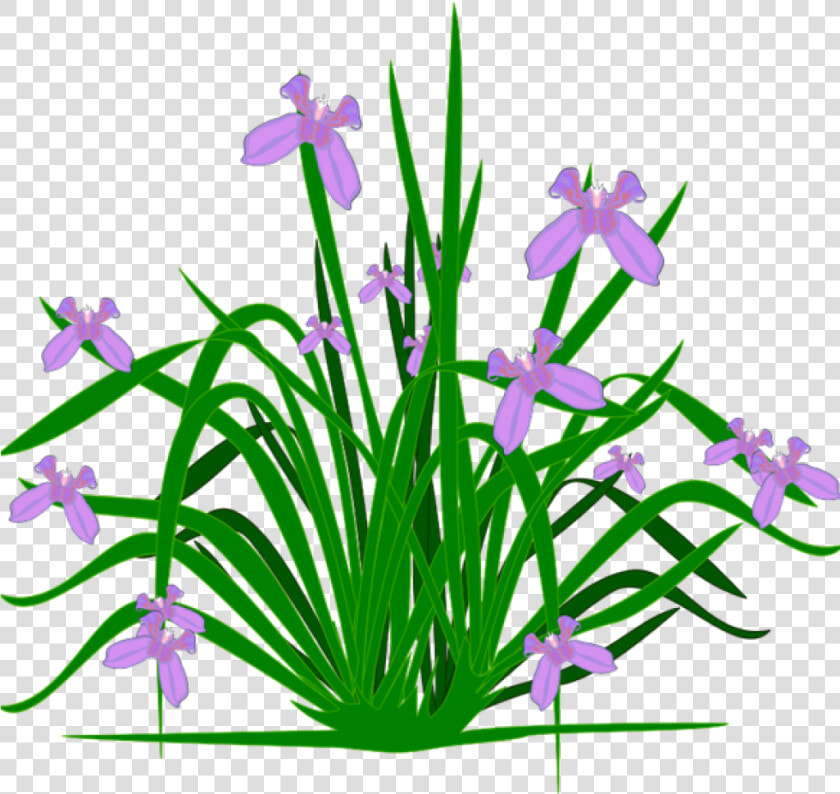 Free Clipart Plants Free Clipart Plants Plants Clip   Flower Small Plants Clipart  HD Png DownloadTransparent PNG