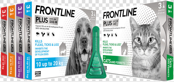 Frontline Spot On Flea Treatment For Cats And Dogs   Frontline Plus Range  HD Png DownloadTransparent PNG