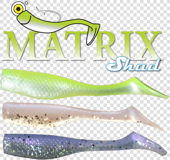 Matrix Shad  HD Png DownloadTransparent PNG