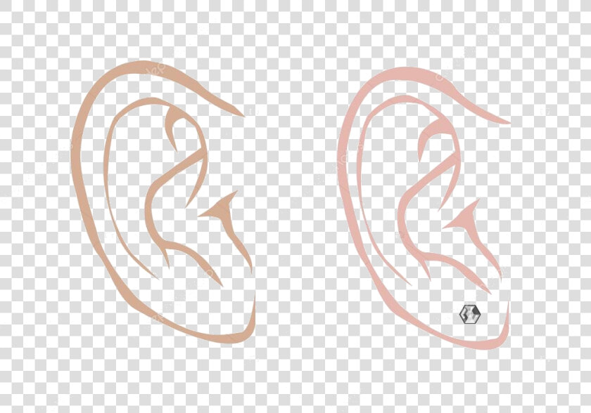 Ear Male And Female With Diamond Earring In Outline   Ears Sketch Male  HD Png DownloadTransparent PNG