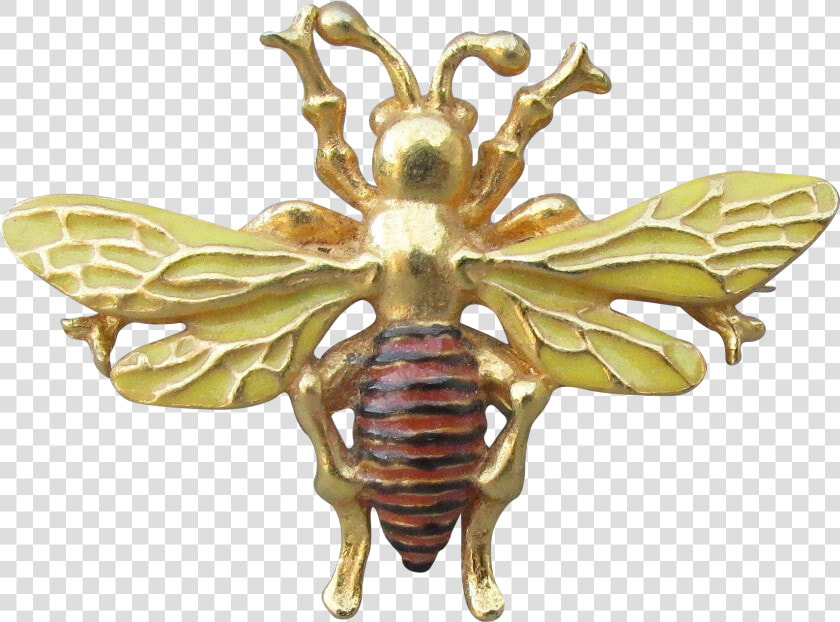 Vintage Bee Png   Honeybee  Transparent PngTransparent PNG