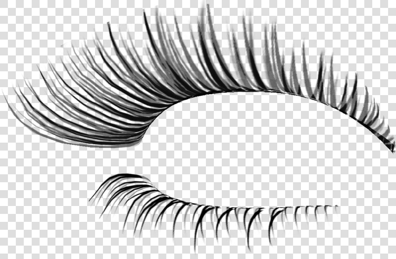 Transparent Background Fake Eyelashes Png  Png DownloadTransparent PNG