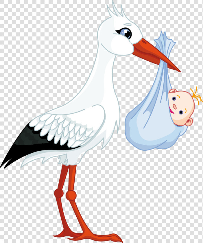 Animated Stork Png Free Download   Stork Carrying Baby  Transparent PngTransparent PNG