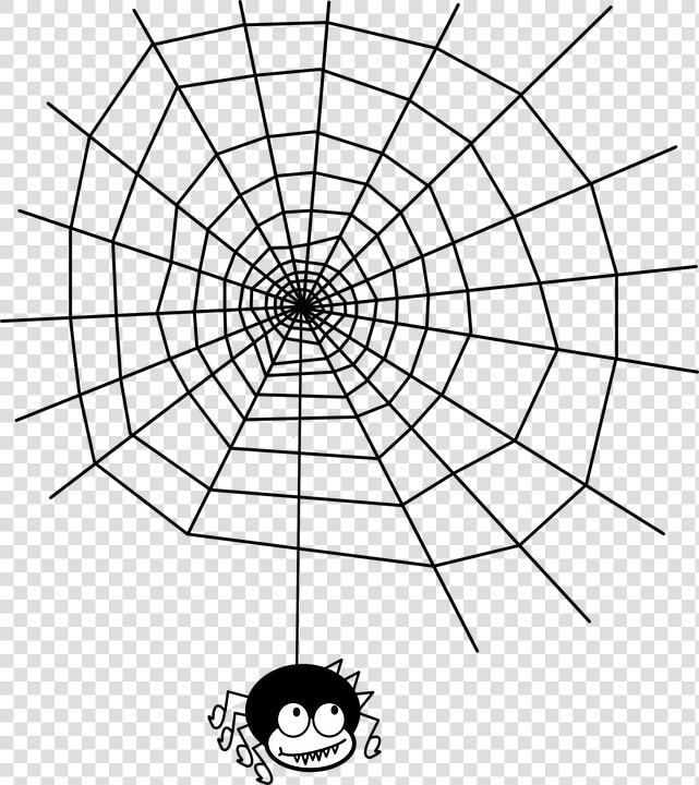 Maths In Spider Webs  HD Png DownloadTransparent PNG