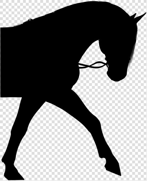 Horse  Silhouette  Pony  Bridle  Stallion  Animal   Girl On Horse Silhouette  HD Png DownloadTransparent PNG