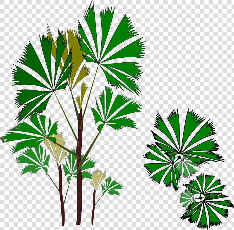 Vegetation Clip Art Png  Transparent PngTransparent PNG