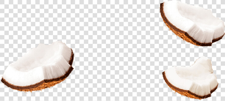 Coconut Milk Png   Coconut Piece Png  Transparent PngTransparent PNG