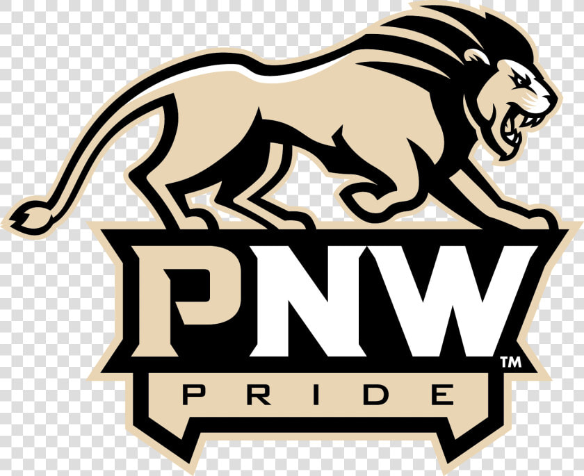 Purdue University Northwest Mascot  HD Png DownloadTransparent PNG