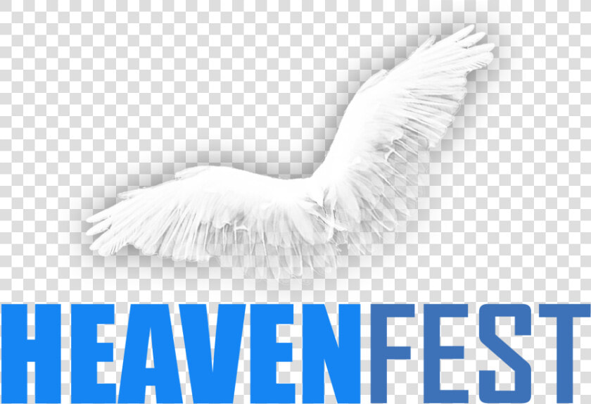 Heaven Fest   Deal  HD Png DownloadTransparent PNG