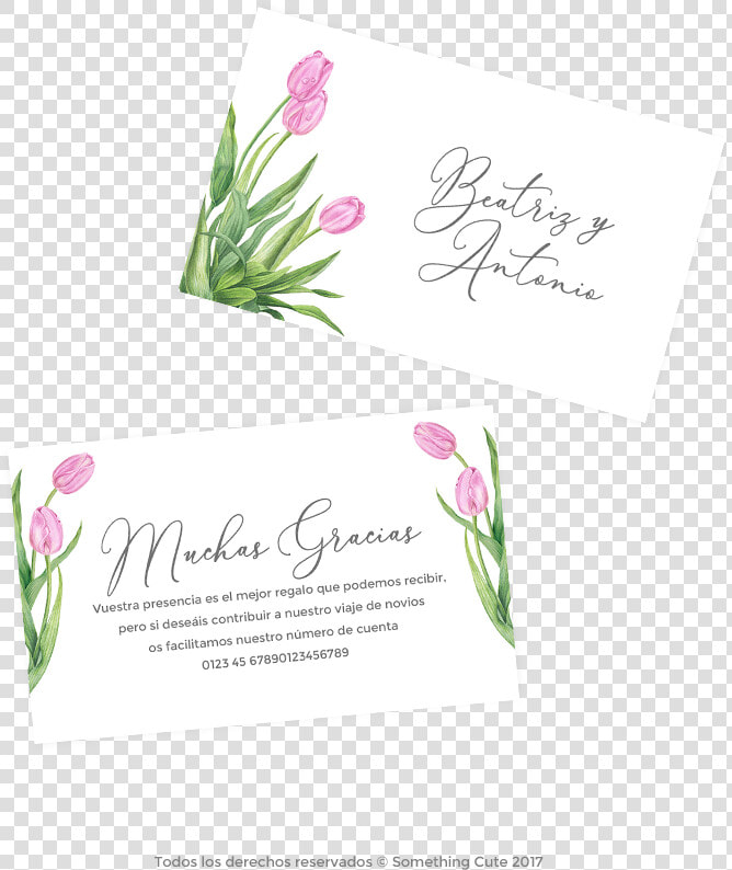 Invitacion Boda Regalo Numero Cuenta  HD Png DownloadTransparent PNG