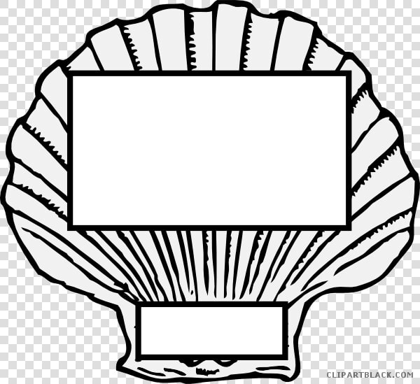 Shell Clipart Horse Conch   Seashell Black And White  HD Png DownloadTransparent PNG