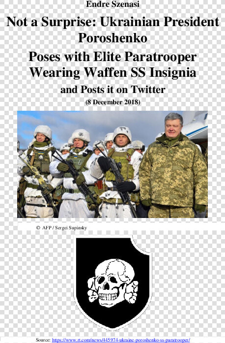 Waffen Ukraine Ss Insignia  HD Png DownloadTransparent PNG