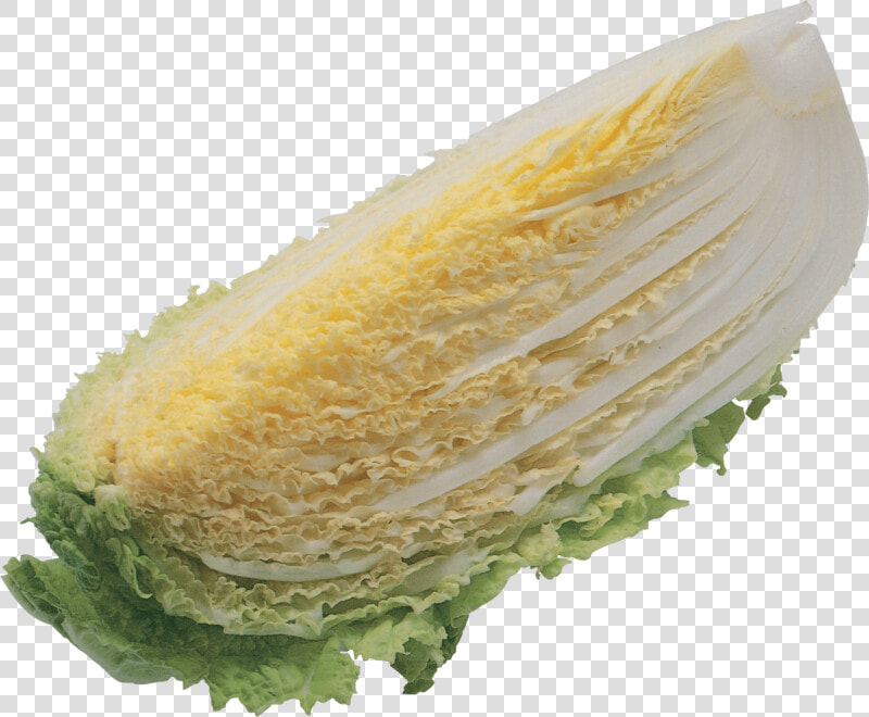 Salad Png Image   Salad  Transparent PngTransparent PNG