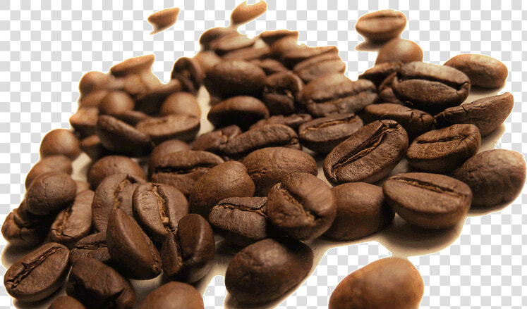 Transparent Coffee Bean Png   Coffee Bean  Png DownloadTransparent PNG