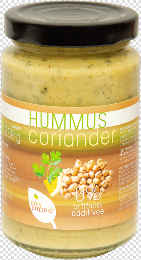 Hummus Coriander   Dip   Dip  HD Png DownloadTransparent PNG