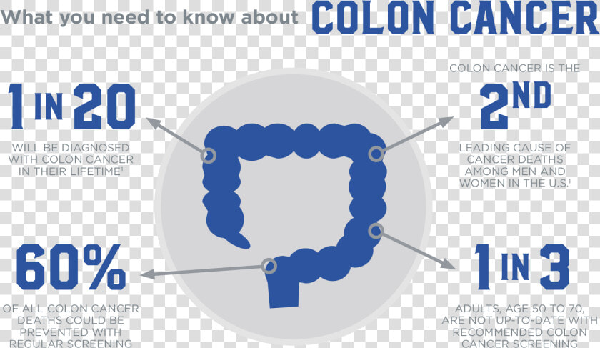 Colon Cancer Infographic  HD Png DownloadTransparent PNG