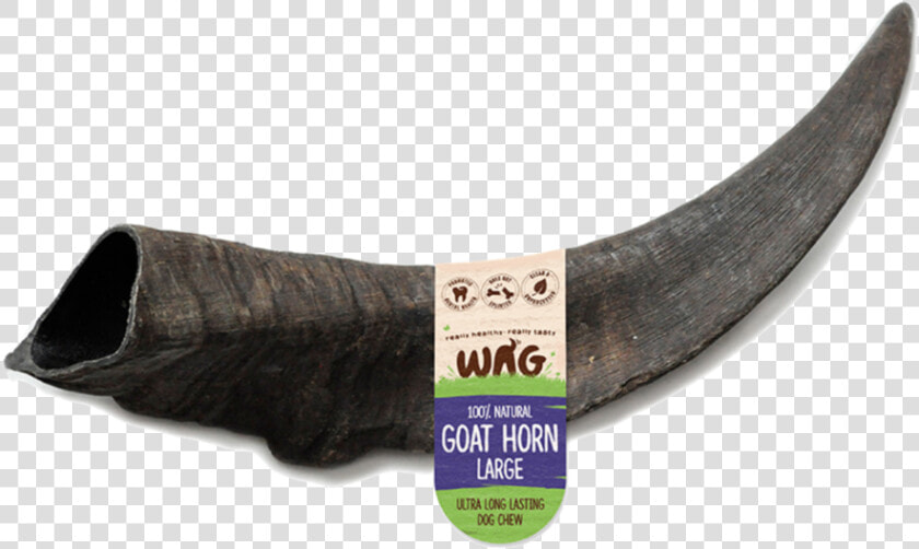 Transparent Goat Horns Png   Tusk  Png DownloadTransparent PNG