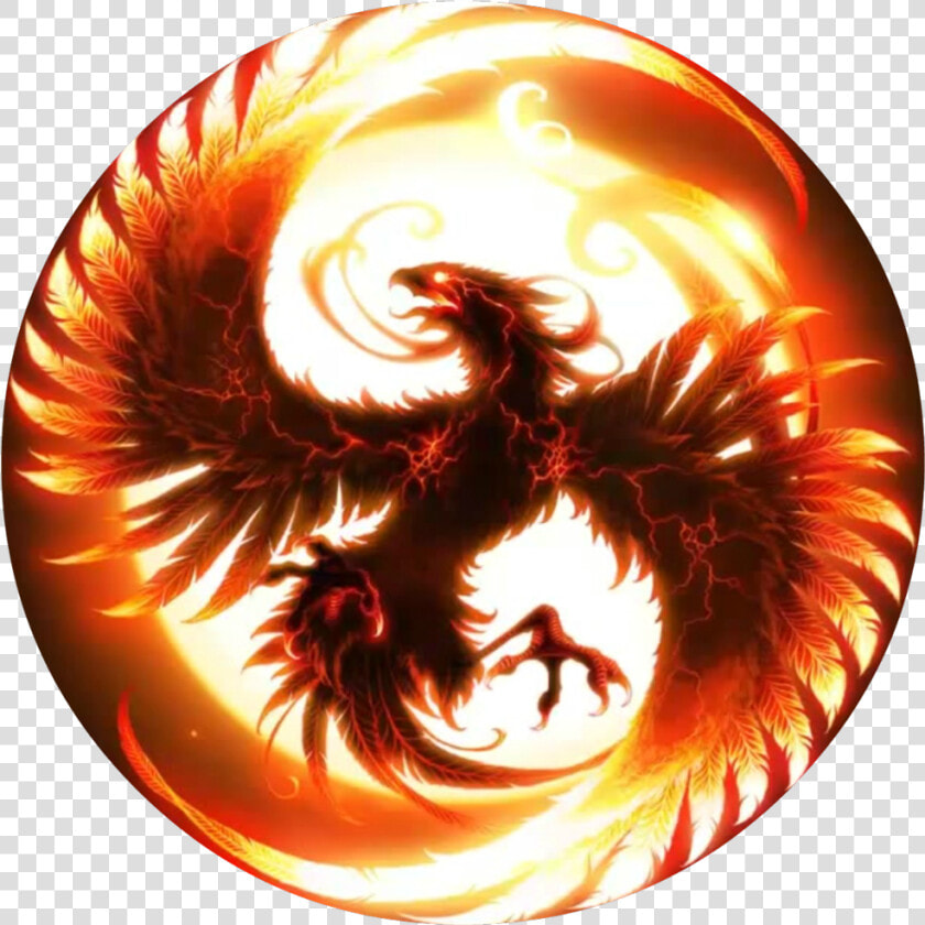 Phoenix Stone Services Logo   Dark Phoenix The Bird  HD Png DownloadTransparent PNG