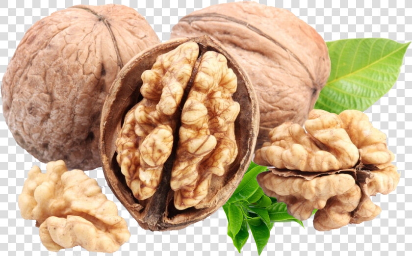 Nuts Transparent Fatty   Walnut Clipart  HD Png DownloadTransparent PNG