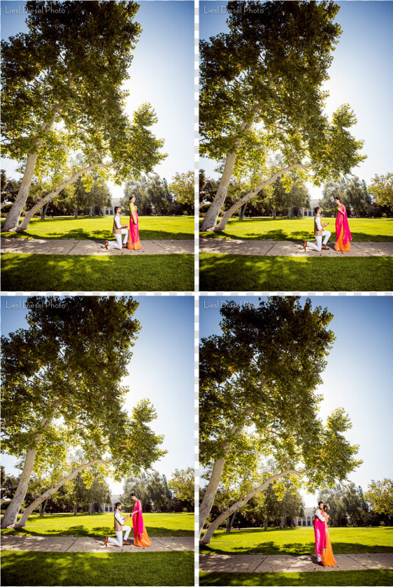 Liesl Diesel Photo Surprise Proposal Engagement Session  HD Png DownloadTransparent PNG