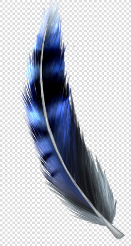 Jay Feather Png   Blue Jay Feather Drawing  Transparent PngTransparent PNG