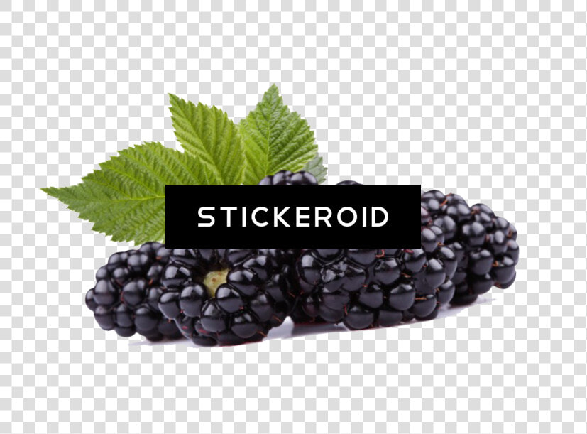 Black Raspberries Hd   Black Raspberry Transparent  HD Png DownloadTransparent PNG