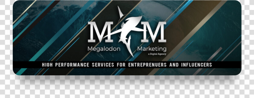 Megalodon Marketing  HD Png DownloadTransparent PNG