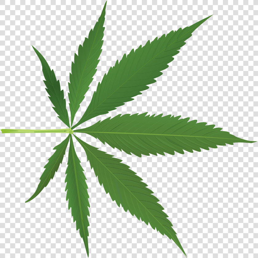 Transparent Marijuana Leaf Silhouette Png   Cannabis Leaf Png  Png DownloadTransparent PNG