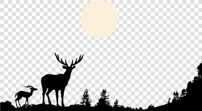 Deer Wildlife Clip Art Hand Painted Black   Forest Animals Silhouette Png  Transparent PngTransparent PNG