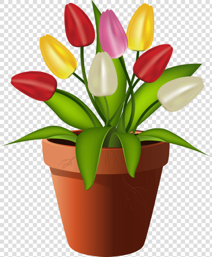 唯美郁金香瓶花免扣素材   Maceta De Flores Ilustracion Png  Transparent PngTransparent PNG