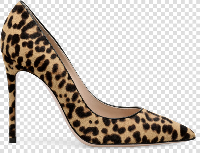 Haircalf Gianvito 105 G21459 15ric Ponlepa  HD Png DownloadTransparent PNG