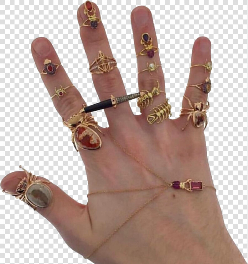  hand  hands  jewelry  rings  bugs  png  pngs  aesthetic   Hand With Rings Png  Transparent PngTransparent PNG