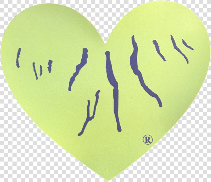 Green Heart Of The Finger Lakes Data Zoom   cdn   Illustration  HD Png DownloadTransparent PNG