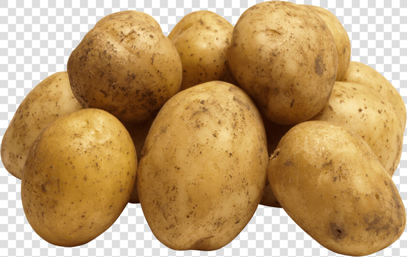 Group Of Potatoes   Potato Png  Transparent PngTransparent PNG