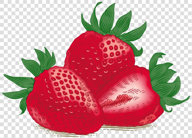 Single Strawberry Download Free Png   Burt  39 s Bees  Inc   Transparent PngTransparent PNG