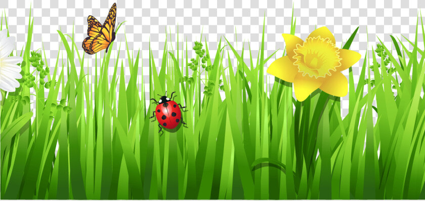 Grass Clip Art   Grass Flower Vector Png  Transparent PngTransparent PNG