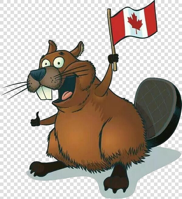 Beaver Png   Beaver Canada Png  Transparent PngTransparent PNG