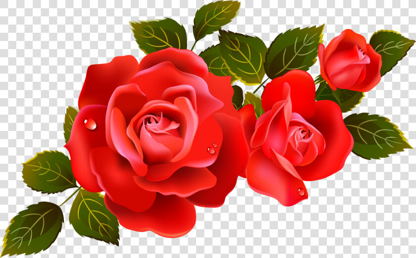 15 Rose Vector Png For Free Download On Mbtskoudsalg   Rose Clipart  Transparent PngTransparent PNG