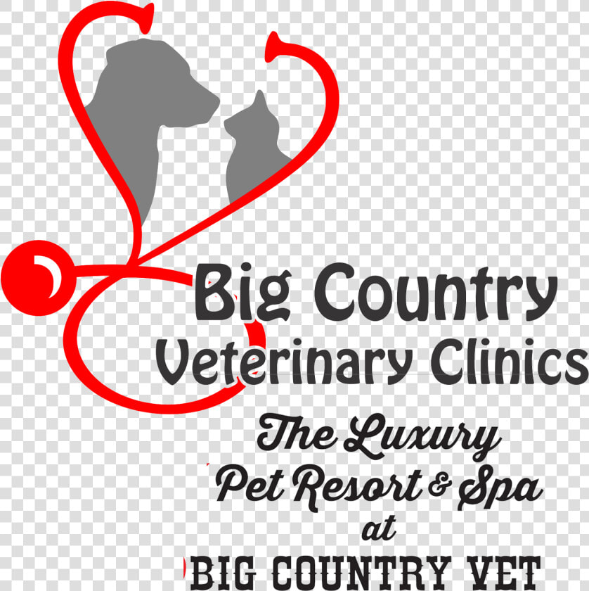 Big Country Veterinary Clinic   Graphic Design  HD Png DownloadTransparent PNG