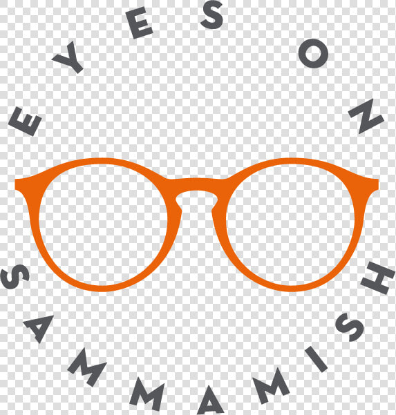 Eyes On Sammamish   Ray Ban Rx8954  HD Png DownloadTransparent PNG